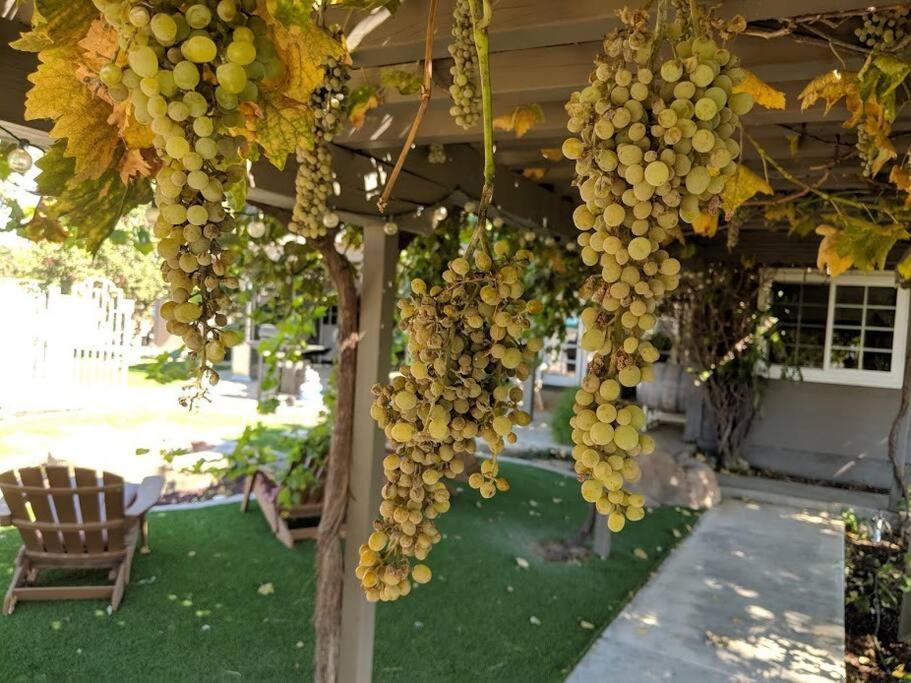 The Vineyard Farmhouse Villa Пасо Роблес Екстериор снимка